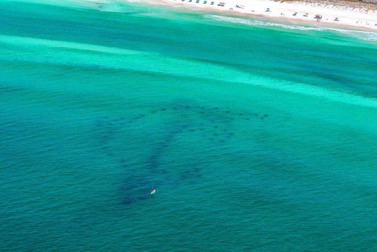 Beach Haven- Beach Pointe 703 Destin Zewnętrze zdjęcie